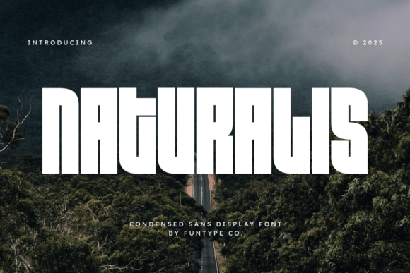 Naturalis: A Bold Sans Serif Font for Crafters & Sellers